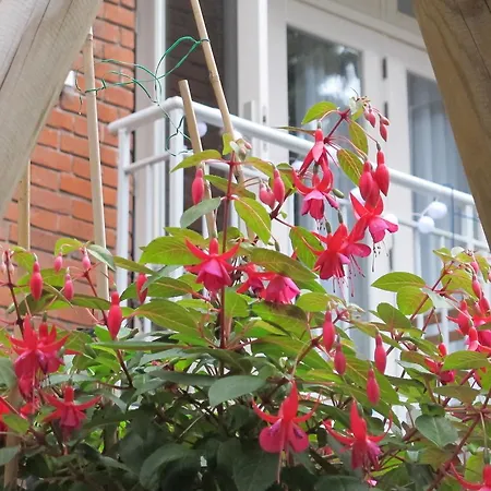 Bed & Breakfast West 3*