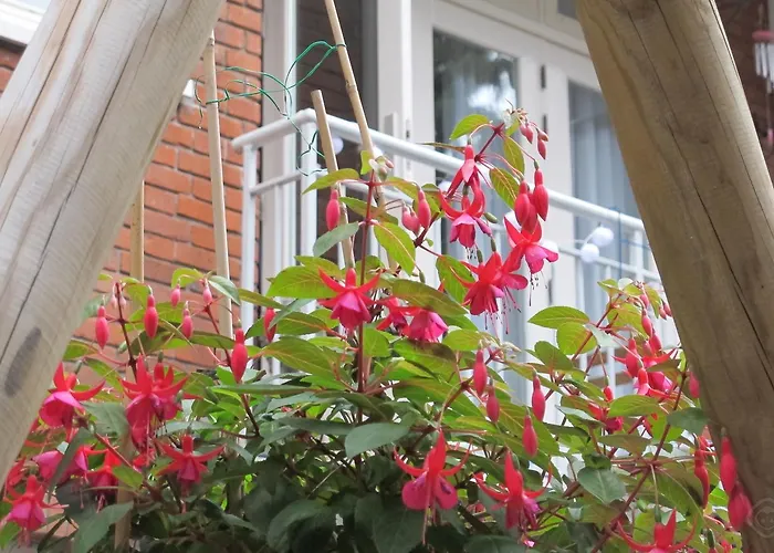 Гостевой дом West 3*